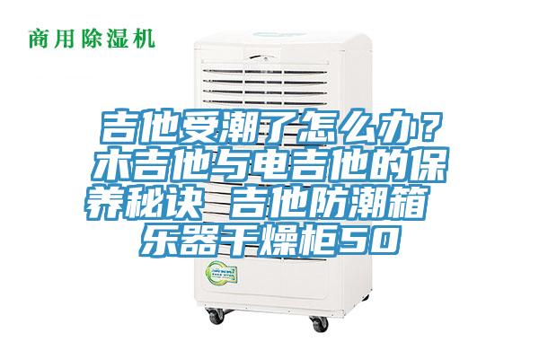 吉他受潮了怎么办？木吉他与电吉他的保养秘诀 吉他防潮箱 乐器干燥柜50