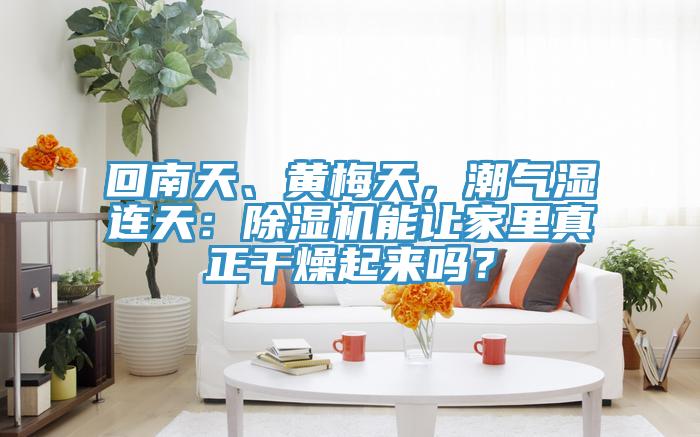 回南天、黄梅天，潮气湿连天：91免费网站在线观看能让家里真正干燥起来吗？