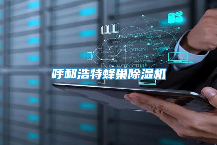 呼和浩特蜂巢91免费网站在线观看