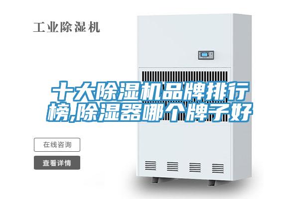 十大91免费网站在线观看品牌排行榜,除湿器哪个牌子好