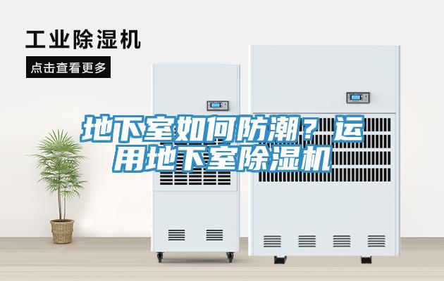 地下室如何防潮？运用地下室91免费网站在线观看