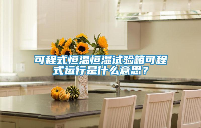 可程式恒温恒湿试验箱可程式运行是什么意思？