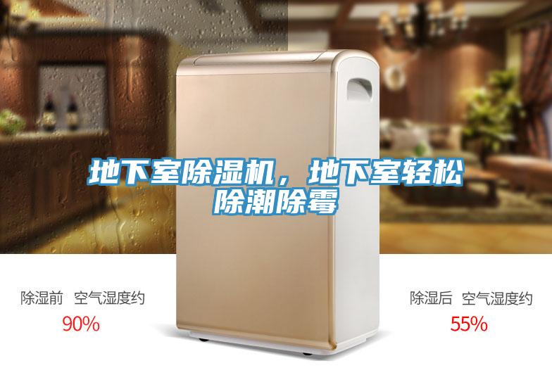 地下室91免费网站在线观看，地下室轻松除潮除霉