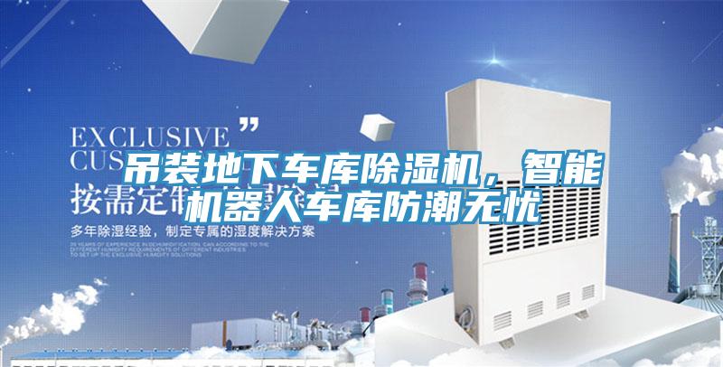 吊装地下车库91免费网站在线观看，智能机器人车库防潮无忧