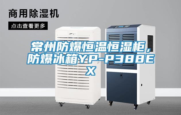 常州防爆恒温恒湿柜，防爆冰箱YP-P388EX