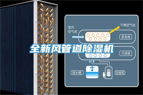 全新风管道91免费网站在线观看