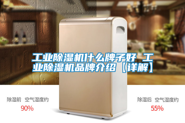 工业91免费网站在线观看什么牌子好 工业91免费网站在线观看品牌介绍【详解】