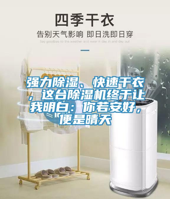 强力除湿、快速干衣，这台91免费网站在线观看终于让我明白：你若安好，便是晴天