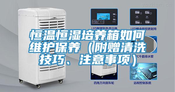 恒温恒湿培养箱如何维护保养（附赠清洗技巧、注意事项）