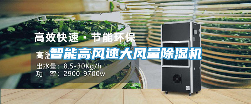 智能高风速大风量91免费网站在线观看