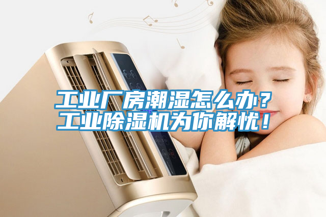 工业厂房潮湿怎么办？工业91免费网站在线观看为你解忧！
