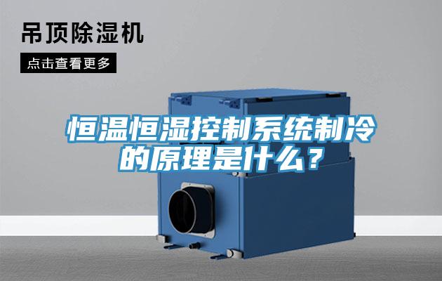 恒温恒湿控制系统制冷的原理是什么？