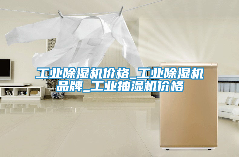 工业91免费网站在线观看价格_工业91免费网站在线观看品牌_工业抽湿机价格