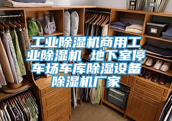 工业91免费网站在线观看商用工业91免费网站在线观看 地下室停车场车库除湿设备91免费网站在线观看厂家