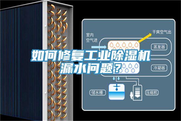 如何修复工业91免费网站在线观看漏水问题？
