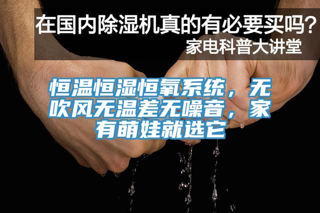 恒温恒湿恒氧系统，无吹风无温差无噪音，家有萌娃就选它