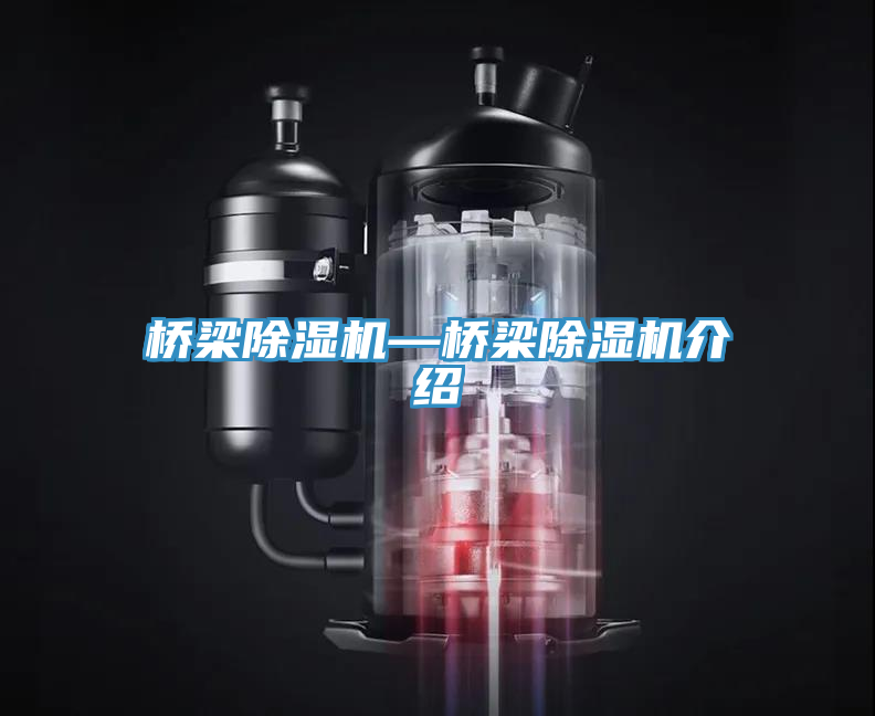 桥梁91免费网站在线观看—桥梁91免费网站在线观看介绍