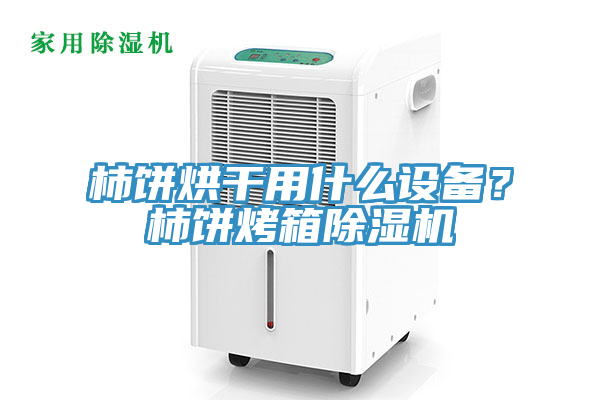 柿饼烘干用什么设备？柿饼烤箱91免费网站在线观看