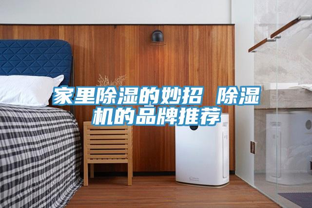 家里除湿的妙招 91免费网站在线观看的品牌推荐