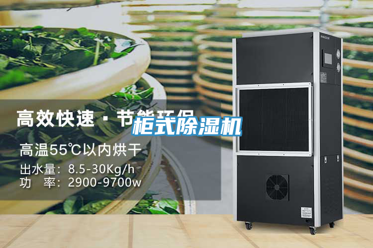 柜式91免费网站在线观看