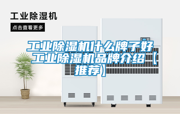 工业91免费网站在线观看什么牌子好 工业91免费网站在线观看品牌介绍【推荐】