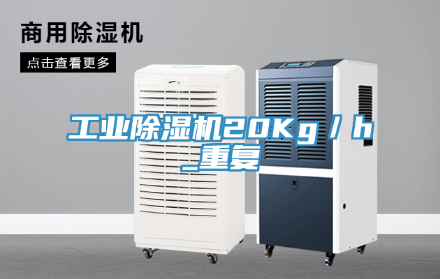 工业91免费网站在线观看20Kg／h_重复
