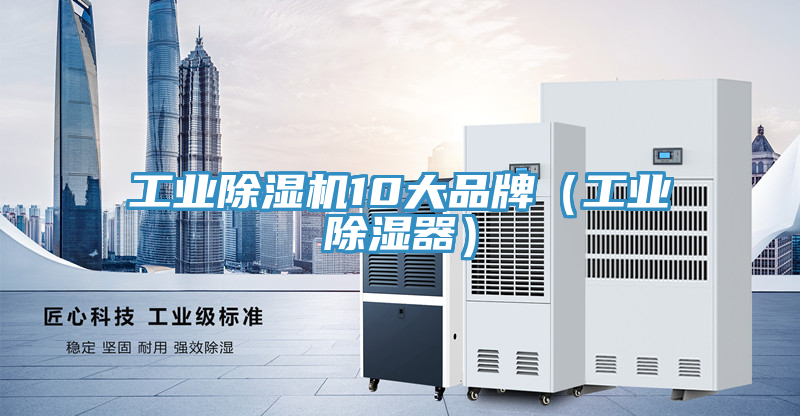 工业91免费网站在线观看10大品牌（工业除湿器）