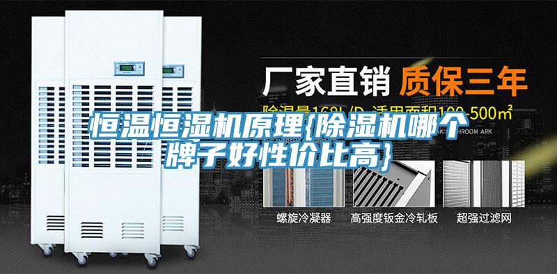 恒温恒湿机原理{91免费网站在线观看哪个牌子好性价比高}