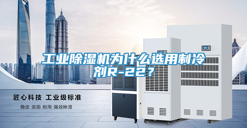 工业91免费网站在线观看为什么选用制冷剂R-22？