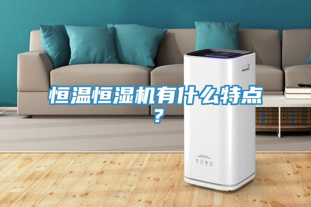恒温恒湿机有什么特点？