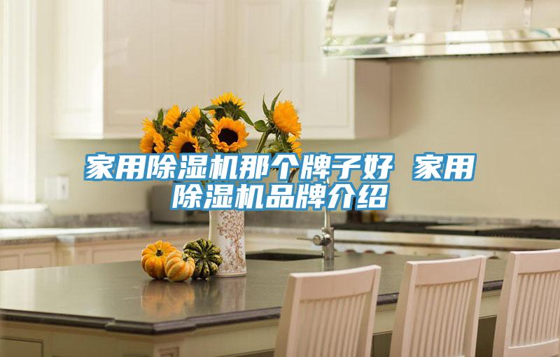 家用91免费网站在线观看那个牌子好 家用91免费网站在线观看品牌介绍