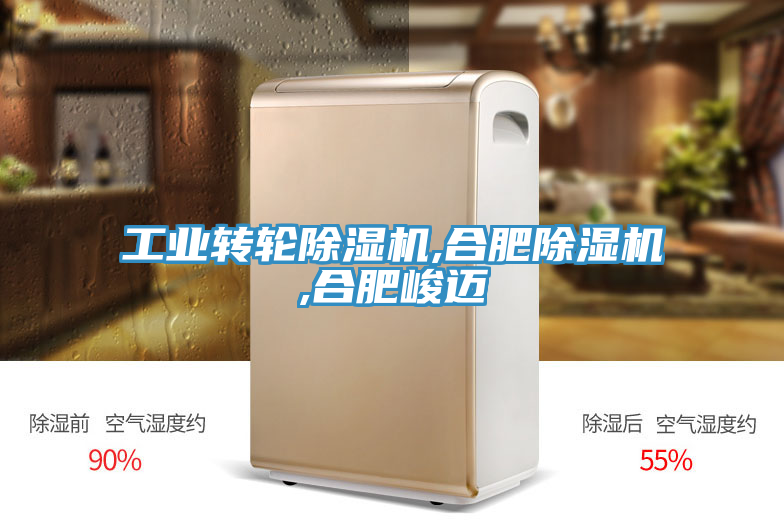 工业转轮91免费网站在线观看,合肥91免费网站在线观看,合肥峻迈
