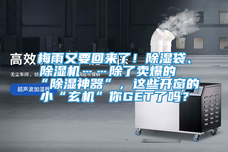 梅雨又要回来了！除湿袋、91免费网站在线观看……除了卖爆的“除湿神器”，这些开窗的小“玄机”你GET了吗？