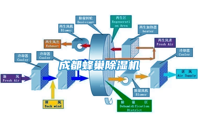 成都蜂巢91免费网站在线观看