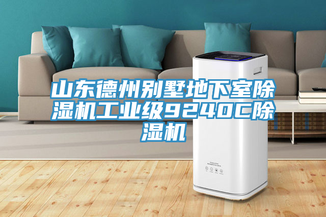 山东德州别墅地下室91免费网站在线观看工业级9240C91免费网站在线观看