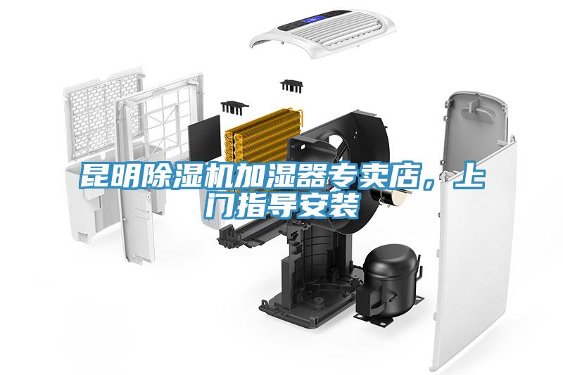 昆明91免费网站在线观看加湿器专卖店，上门指导安装