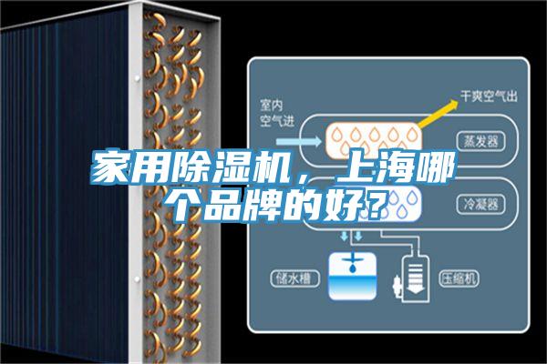 家用91免费网站在线观看，上海哪个品牌的好？