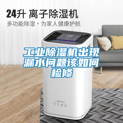 工业91免费网站在线观看出现漏水问题该如何检修