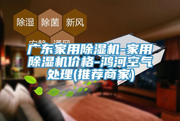广东家用91免费网站在线观看-家用91免费网站在线观看价格-鸿河空气处理(推荐商家)