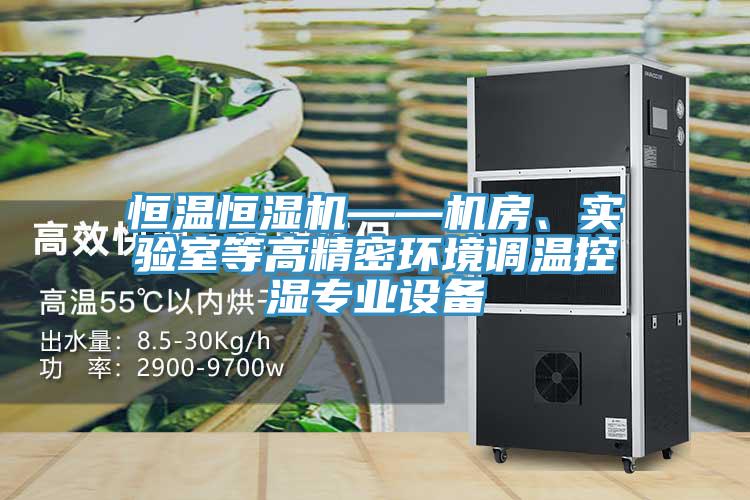 恒温恒湿机——机房、实验室等高精密环境调温控湿专业设备