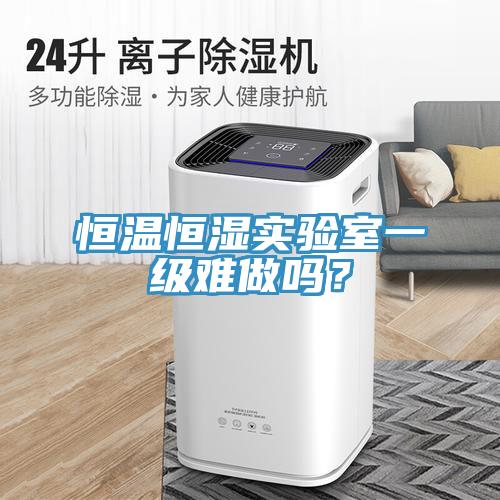 恒温恒湿实验室一级难做吗？