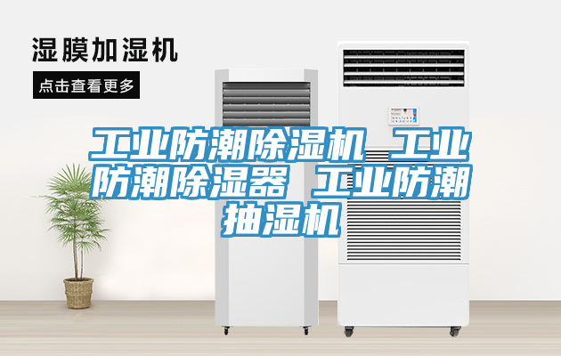 工业防潮91免费网站在线观看 工业防潮除湿器 工业防潮抽湿机