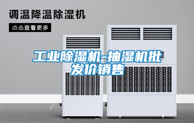工业91免费网站在线观看-抽湿机批发价销售