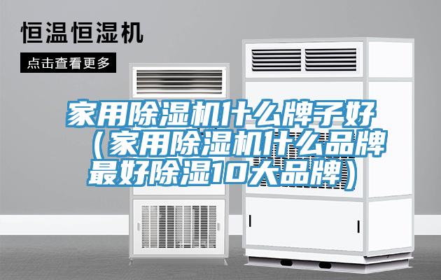 家用91免费网站在线观看什么牌子好（家用91免费网站在线观看什么品牌最好除湿10大品牌）