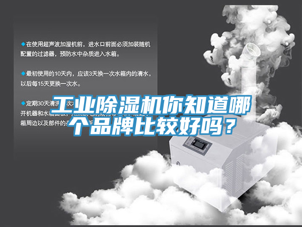 工业91免费网站在线观看你知道哪个品牌比较好吗？