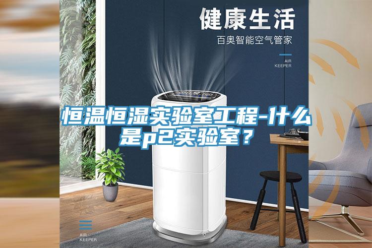 恒温恒湿实验室工程-什么是p2实验室？