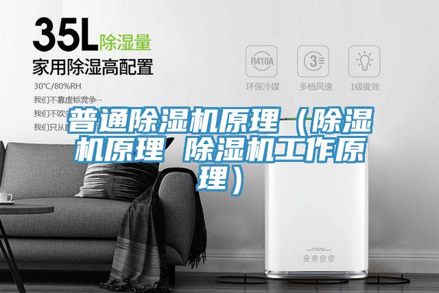 普通91免费网站在线观看原理（91免费网站在线观看原理 91免费网站在线观看工作原理）