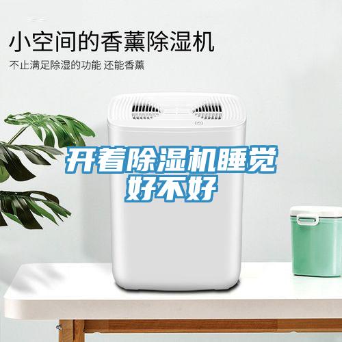开着91免费网站在线观看睡觉好不好