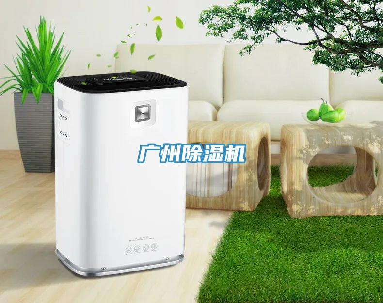 广州91免费网站在线观看
