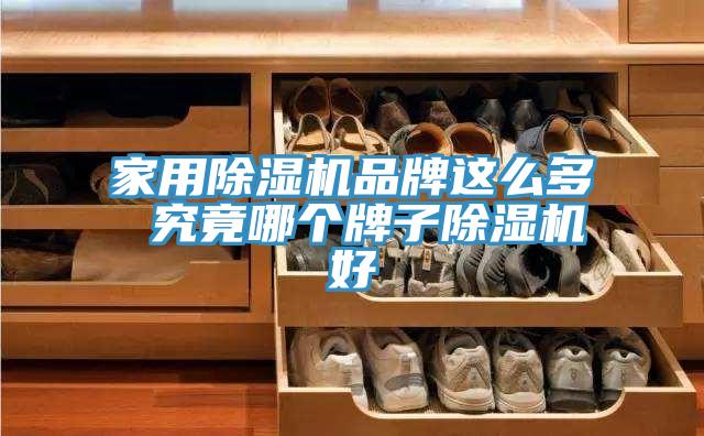 家用91免费网站在线观看品牌这么多 究竟哪个牌子91免费网站在线观看好